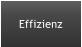 Effizienz