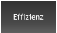 Effizienz